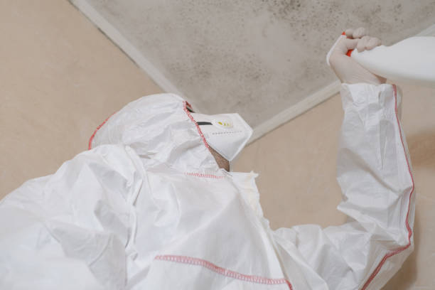 Best Certified Mold Removal  in East Peoria, IL